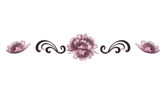 Download Floral Divider Png - Floral divider png Collection